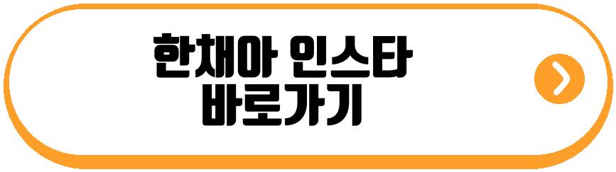 한채아 차범근
