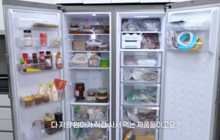 한가인 냉장고 살림 공개