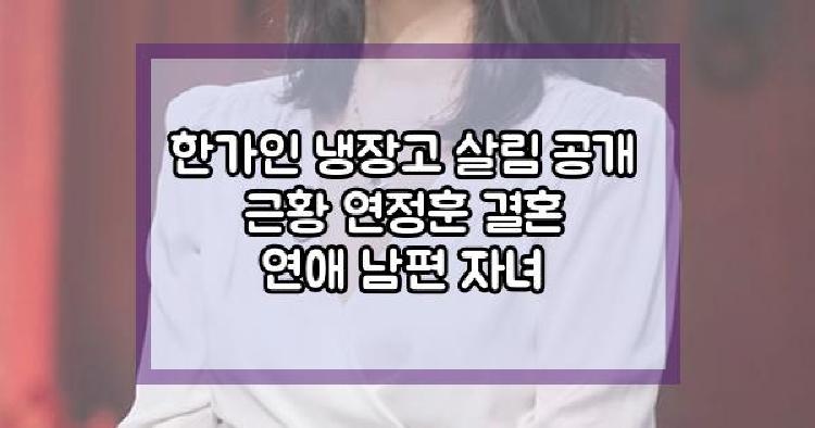 한가인 냉장고 살림 공개