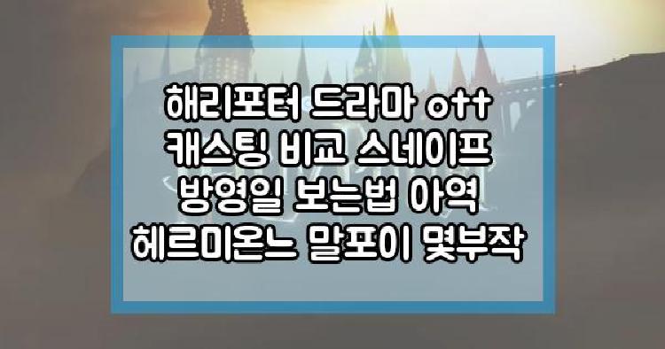 해리포터 드라마