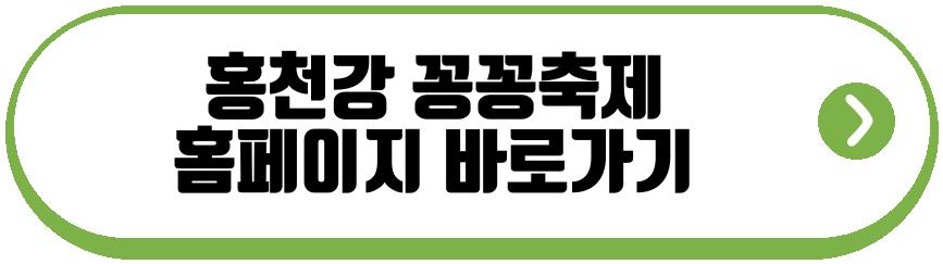 홍천강 꽁꽁축제