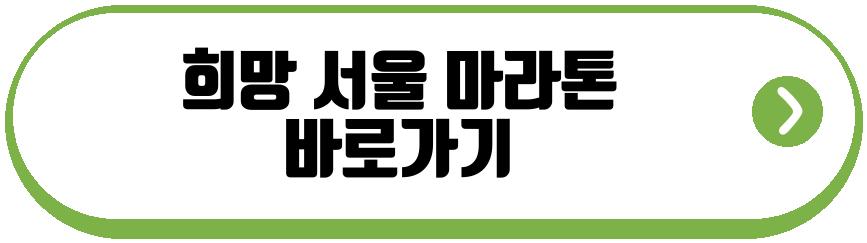 희망 서울 마라톤