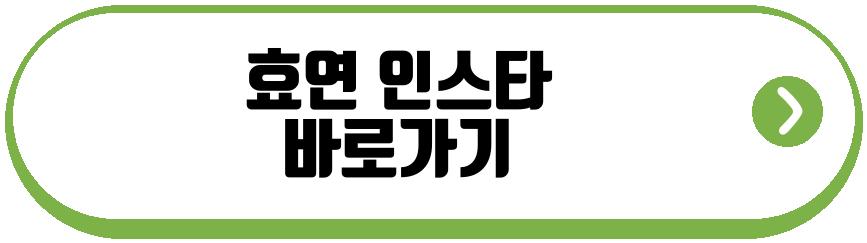 효연