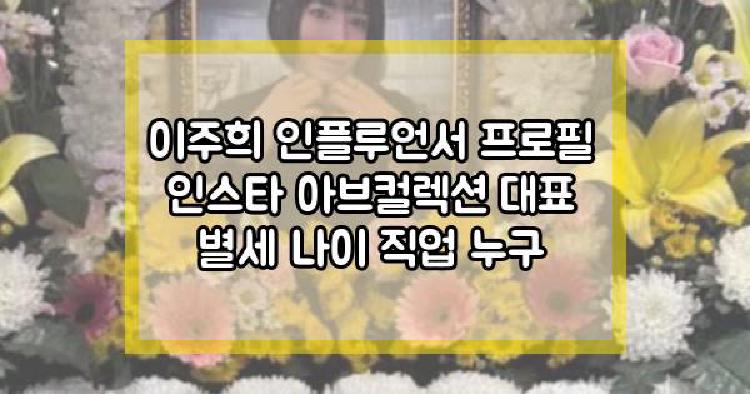 이주희 인플루언서
