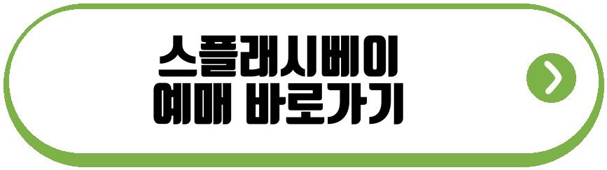스플래시베이