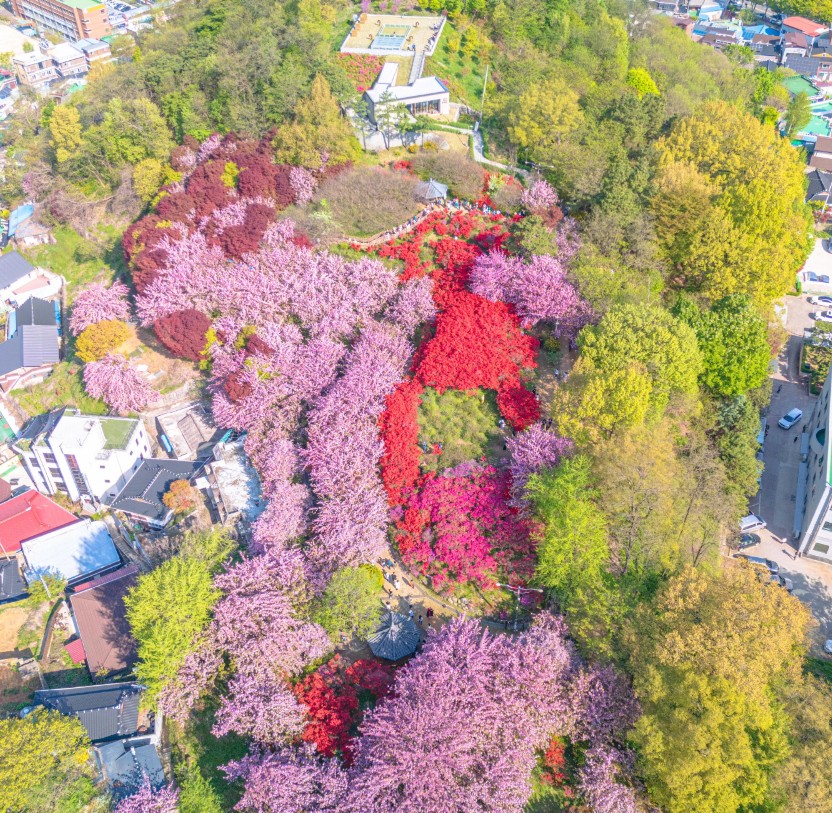 완산칠봉꽃동산