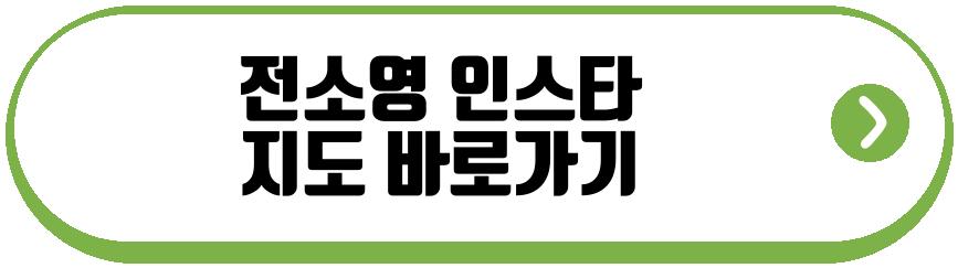 전소영