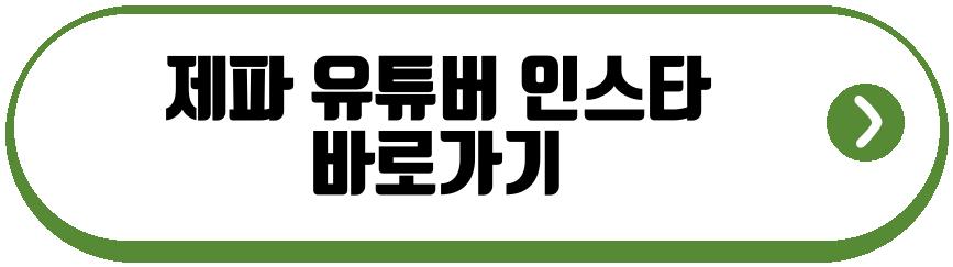 제파 유튜버