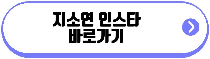 지소연 뉴욕여행 근황