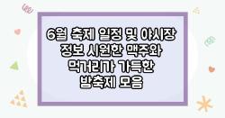 6월 축제 일정 및 야시장 정보 시원한 맥주와 먹거리가 가득한 밤축제 모음