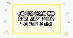 6월 제철 해산물 종류 총정리 보양식 끝판왕 민어부터 병어까지