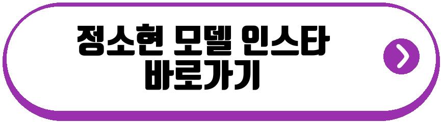 정소현 모델