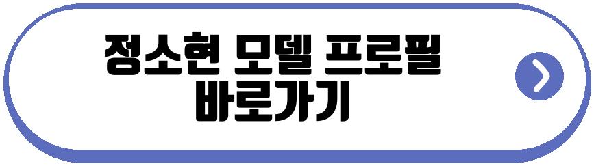 정소현 모델