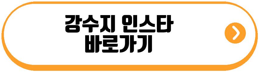 김국진 강수지
