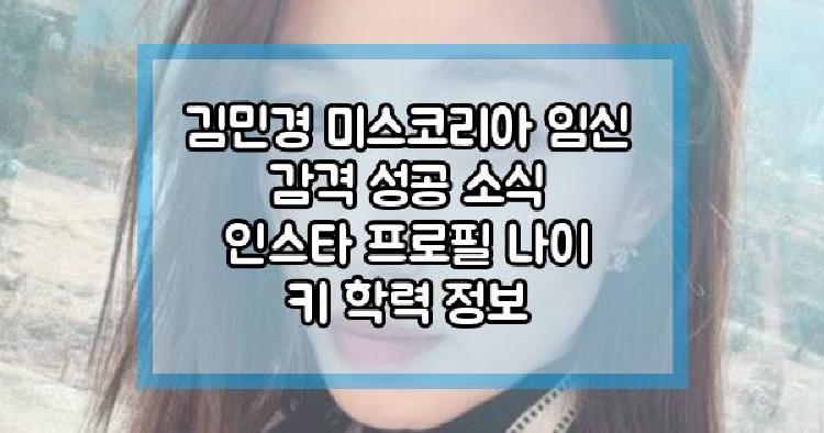 김민경 임신 성공 소식