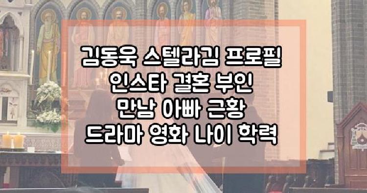 김동욱 스텔라김