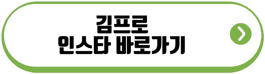 김프로 유튜브