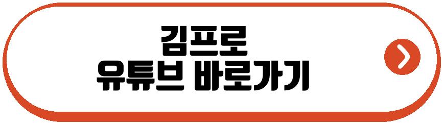 김프로 유튜브
