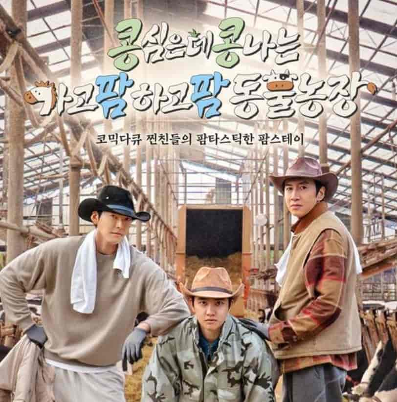 콩콩팜팜
