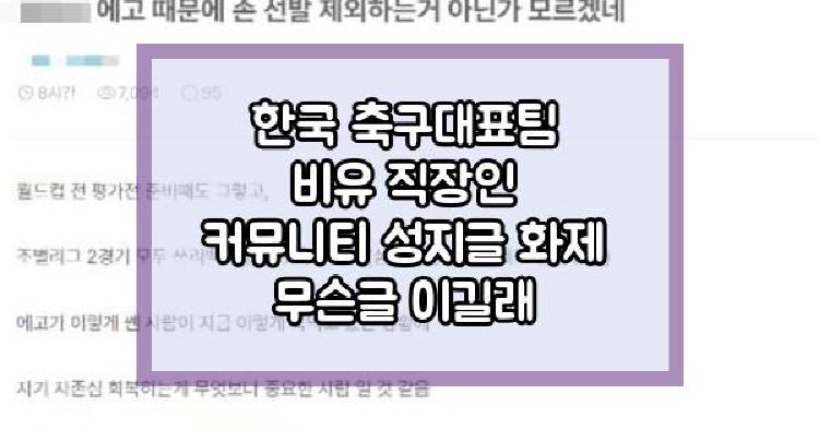 한국 축구대표팀 비유 직장인 커뮤니티 성지글 화제 무슨글 이길래