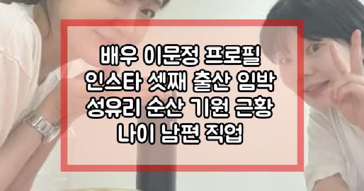 배우 이문정 프로필 인스타 셋째 출산 임박 성유리 순산 기원 근황 나이 남편 직업