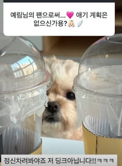 이예림 자녀 계획
