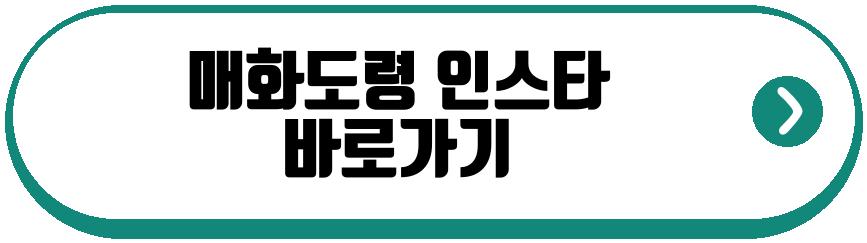 매화도령
