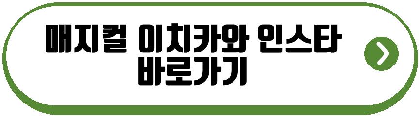 매지컬 이치카와 예약