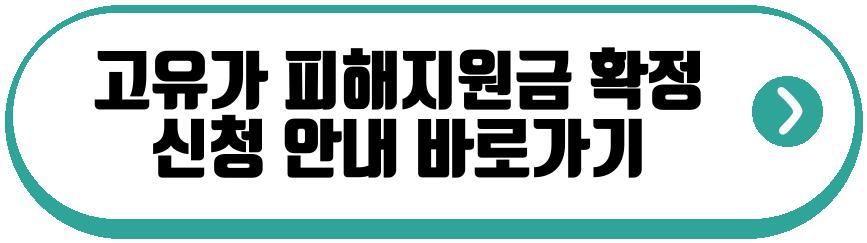 2026 민생지원금