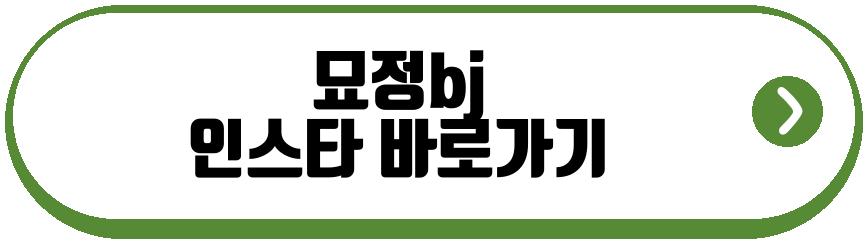묘정bj