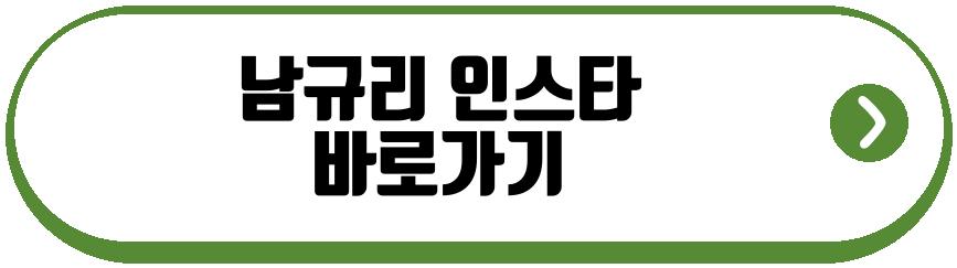 남규리