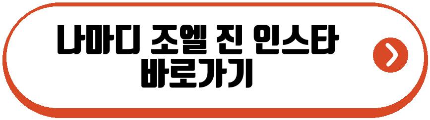 나마디 조엘 진