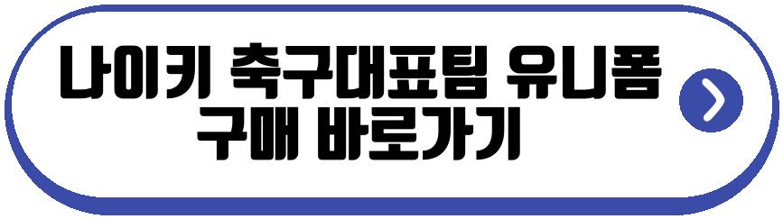 나이키 축구대표팀 유니폼