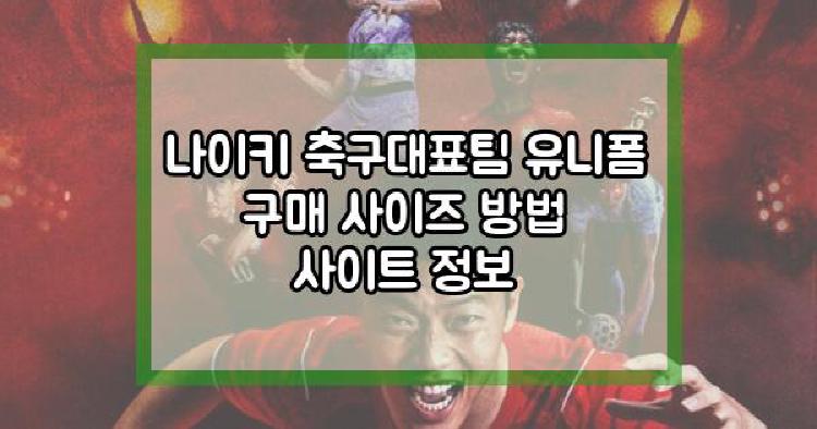 나이키 축구대표팀 유니폼