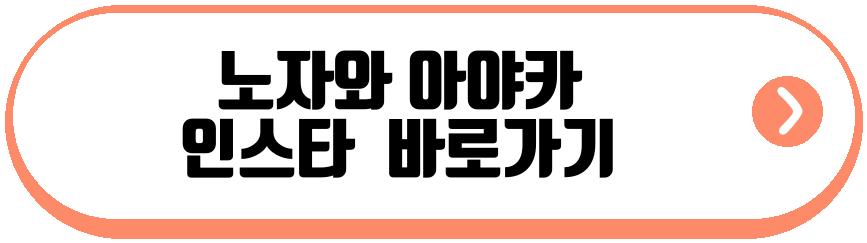 노자와 아야카