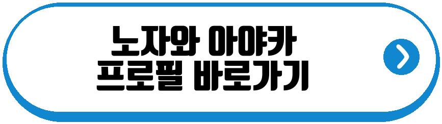 노자와 아야카