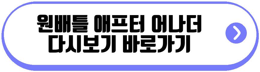 원배틀 애프터 어나더