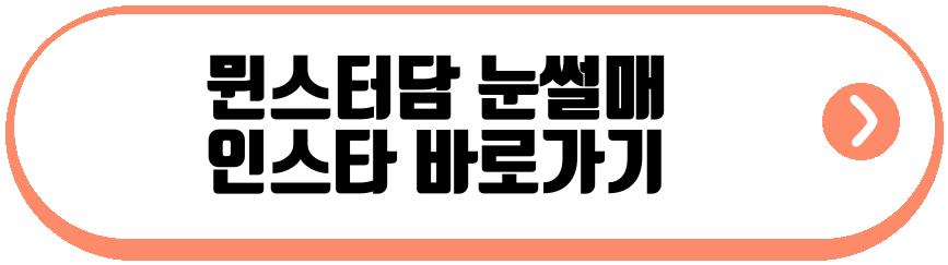 뮌스터담 눈썰매