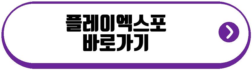 플레이엑스포