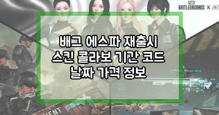 배그 에스파