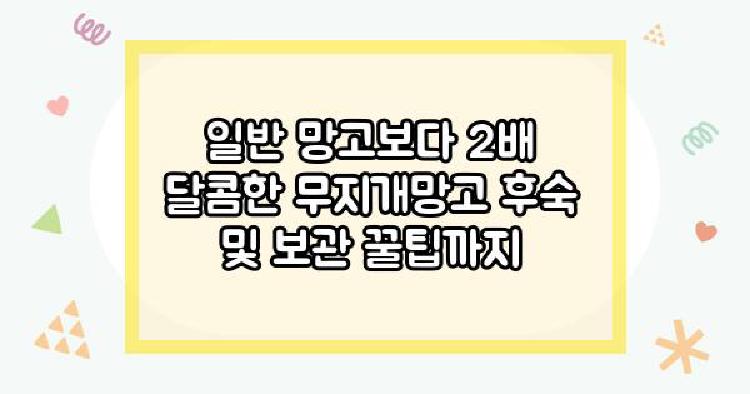무지개망고