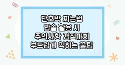 단호박 찌는법 밥솥 활용 시 주의사항 껍질까지 부드럽게 익히는 꿀팁