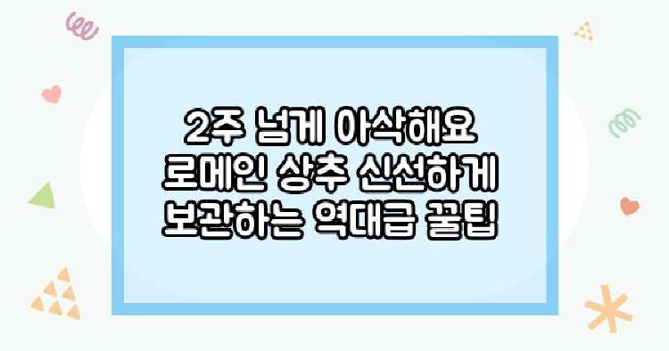 로메인상추 2주