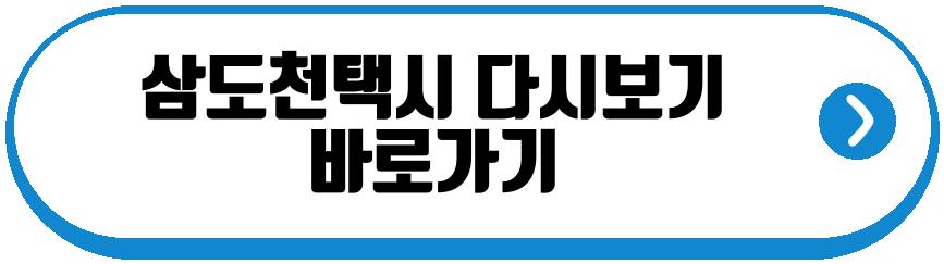 삼도천택시