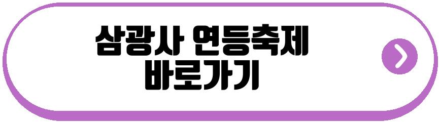 삼광사 연등축제