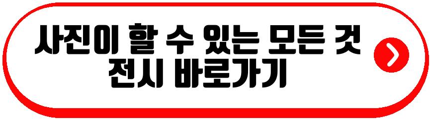 사진이 할 수 있는 모든 것