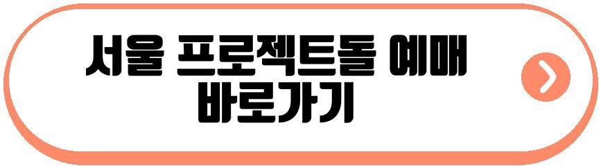서울 프로젝트돌