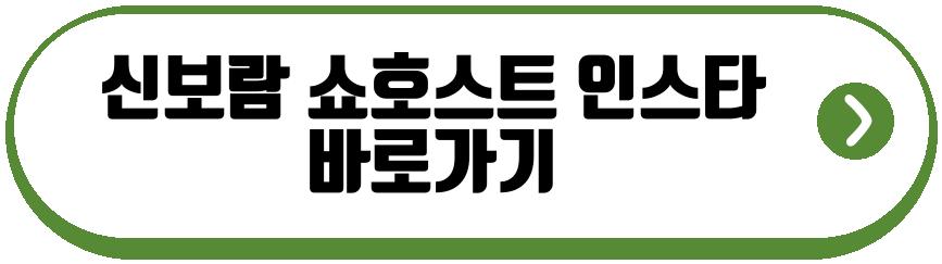 신보람 쇼호스트