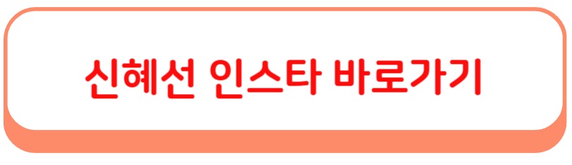 신혜선 배우