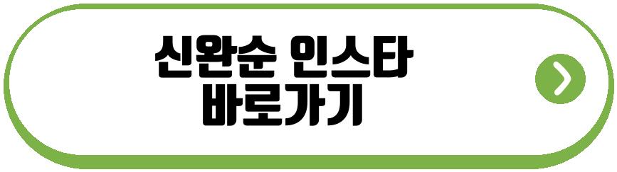 신완순